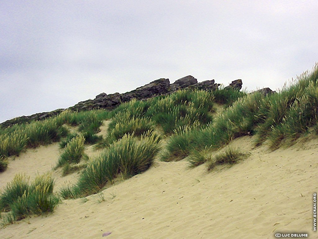 fonds d cran Bretagne Cotes d Armor cote de Penthievre - de Luc Delume