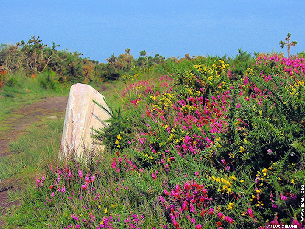 fonds d cran Bretagne Cotes d Armor cote de Penthievre - de Luc Delume