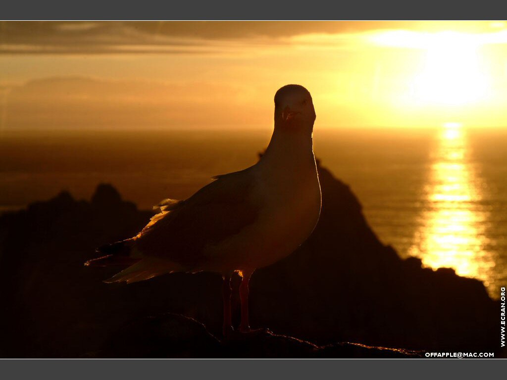 fonds d cran bretagne-couchers-de-soleil - de Christophe