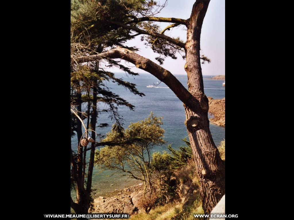 fonds d cran dinard-st-malo - de Viviane Meaume