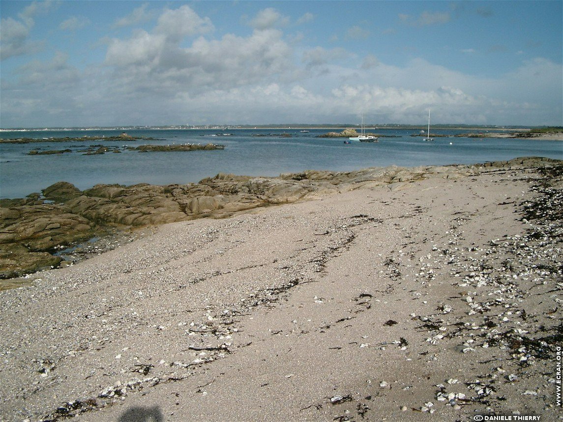 fonds d cran Ile de Batz - Finistre - Bretagne - de Danile Thierry