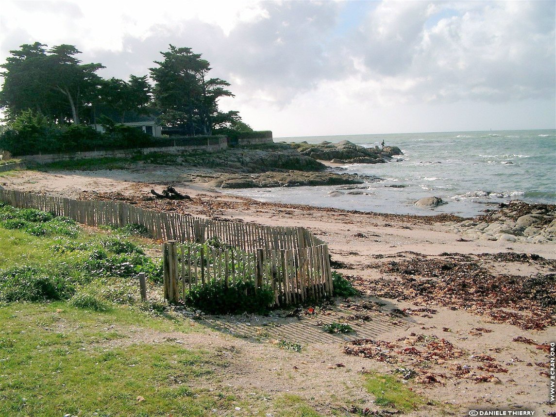 fonds d cran Ile de Batz - Finistre - Bretagne - de Danile Thierry