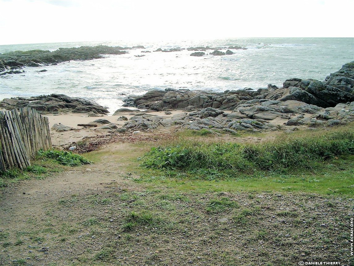 fonds d cran Ile de Batz - Finistre - Bretagne - de Danile Thierry
