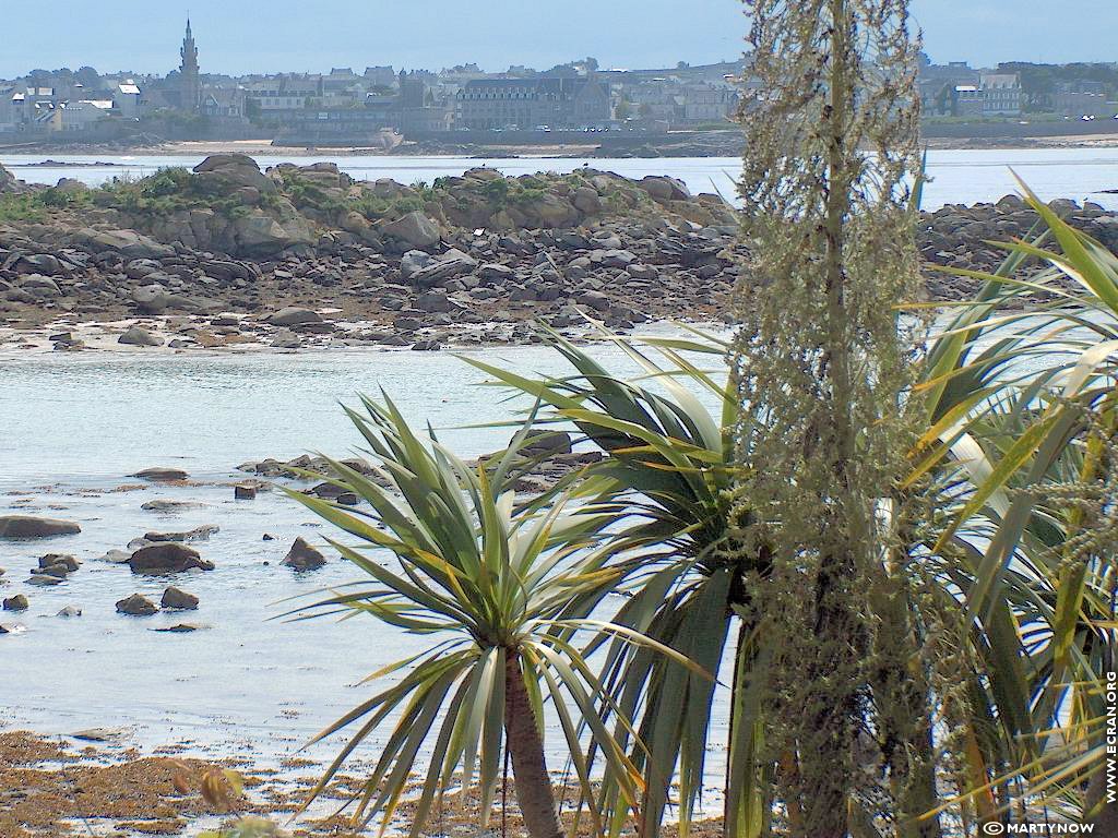 fonds d cran Bretagne -Finistere - ile de Batz - de Martynow