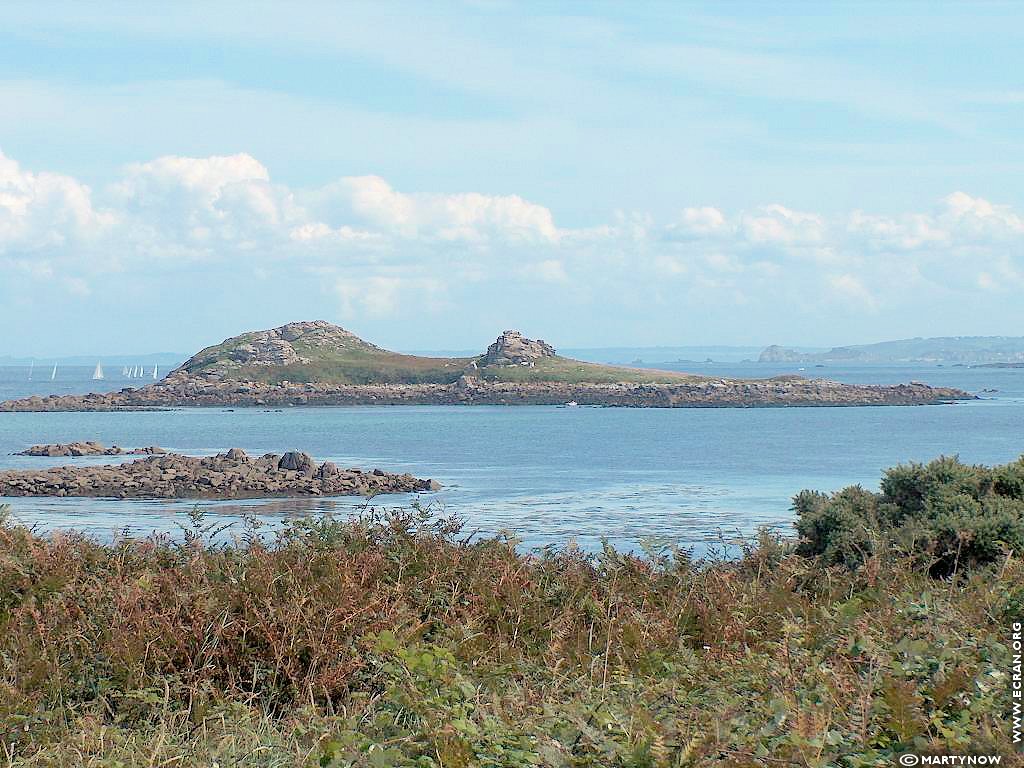 fonds d cran Bretagne -Finistere - ile de Batz - de Martynow