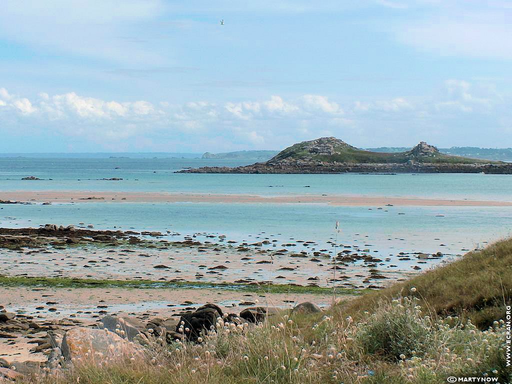 fonds d cran Bretagne -Finistere - ile de Batz - de Martynow