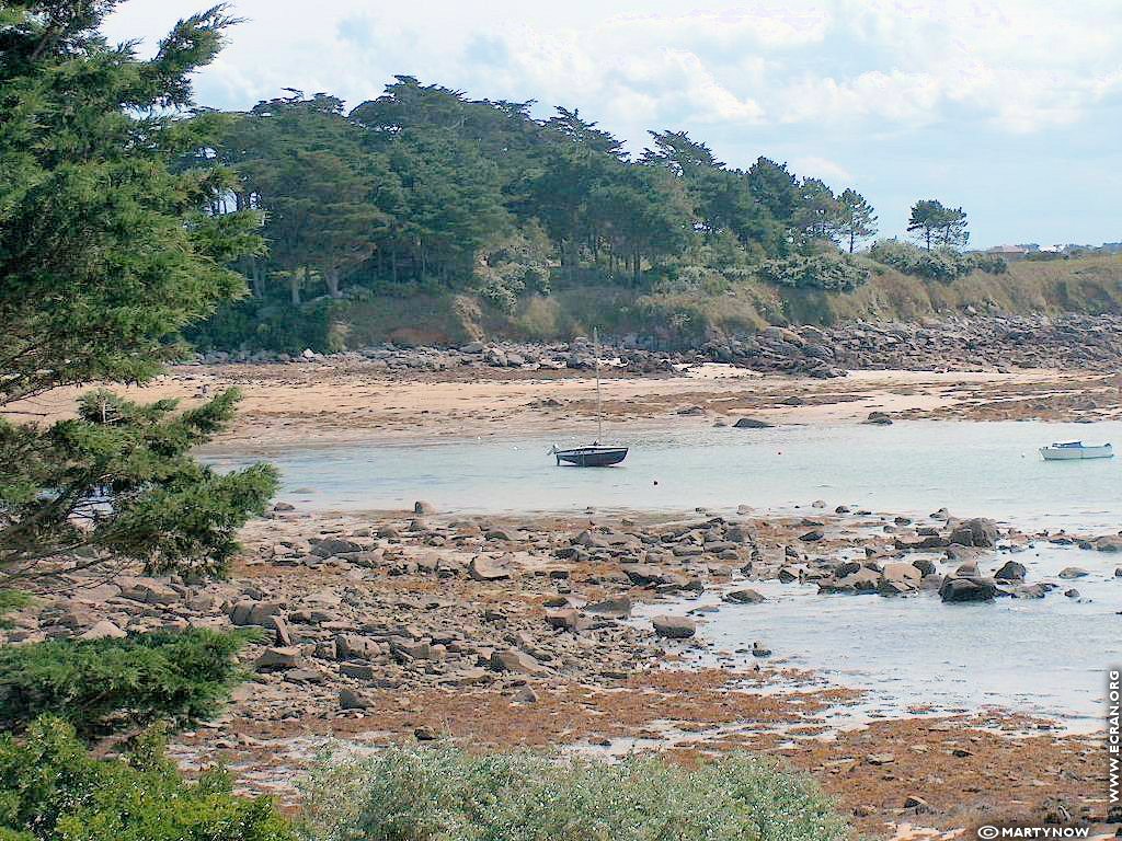 fonds d cran Bretagne -Finistere - ile de Batz - de Martynow