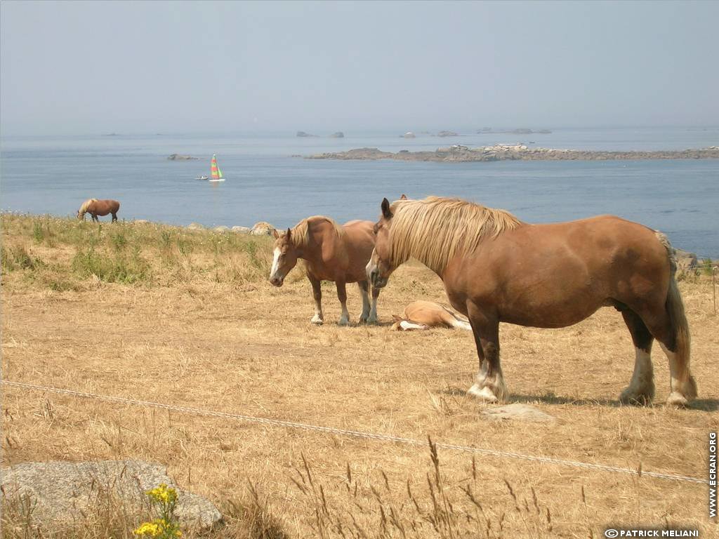 fonds d cran Bretagne Finistere Portsall - de patrick.meliani