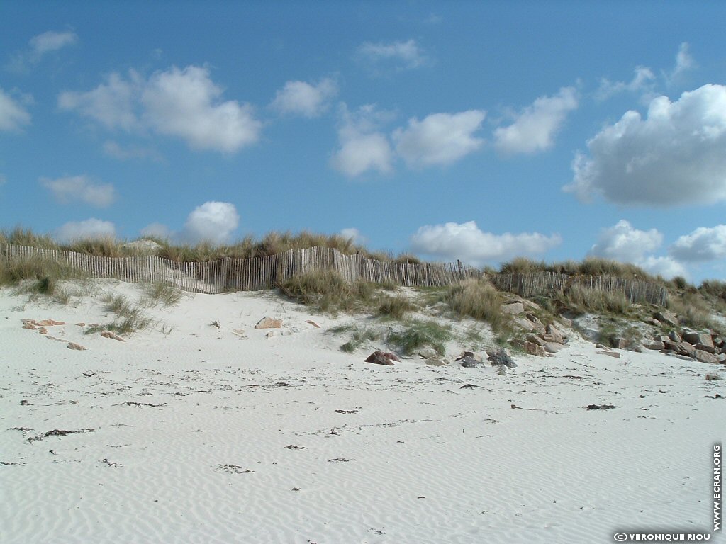 fonds d cran Bretagne - finistre nord - Santec - plage le Diben - de Vronique