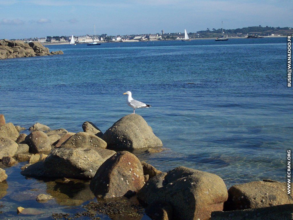 fonds d cran ile-de-Batz Bretagne - L'Ile de Batz - de Jean Cirard