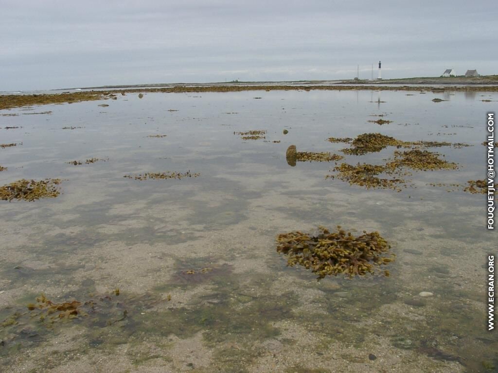 fonds d cran bretagne-ile-de-Sein - de Jean-Luc Fouquet