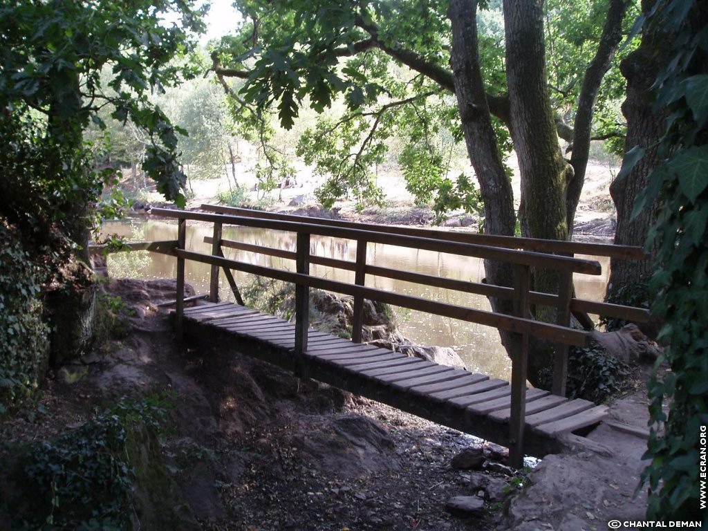 fonds d cran Broceliande, chateau de Suscinio, mare aux fes de Broceliande, Huelgoat .. - de Chantal Deman