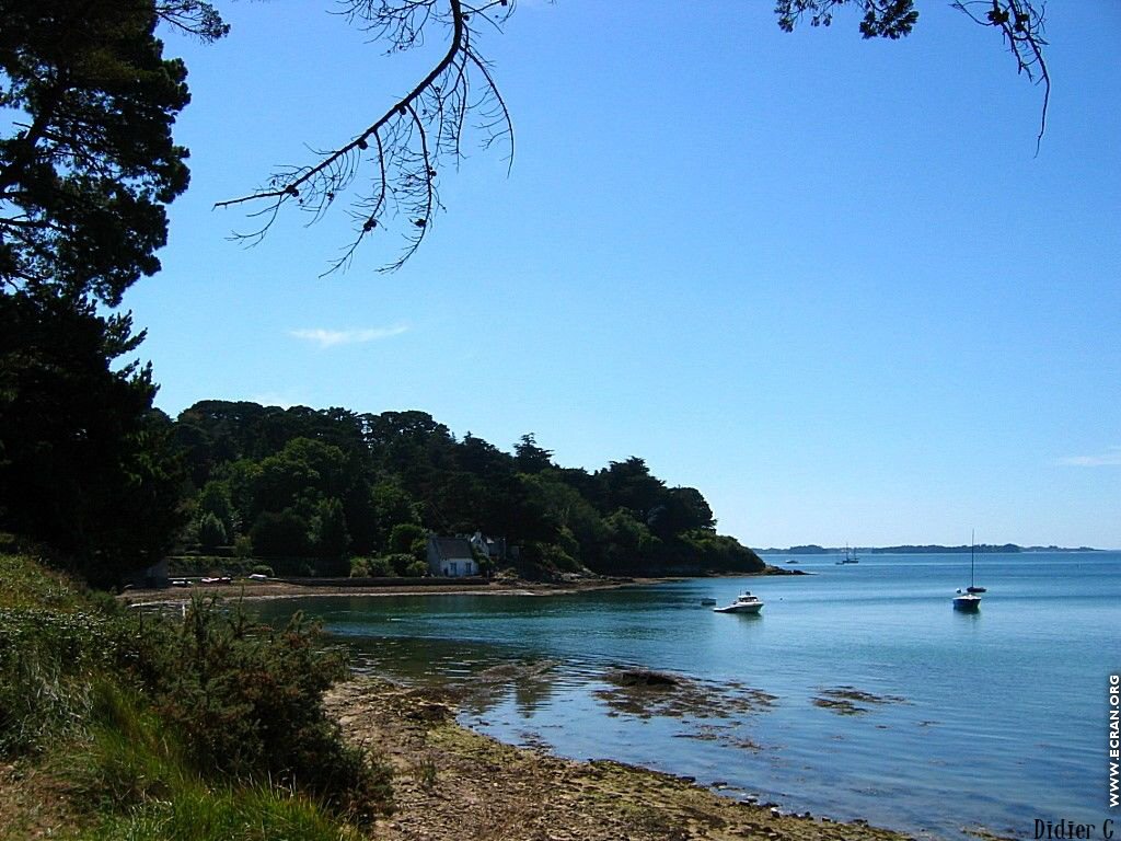 fonds d cran Bretagne Morbihan - de Didier