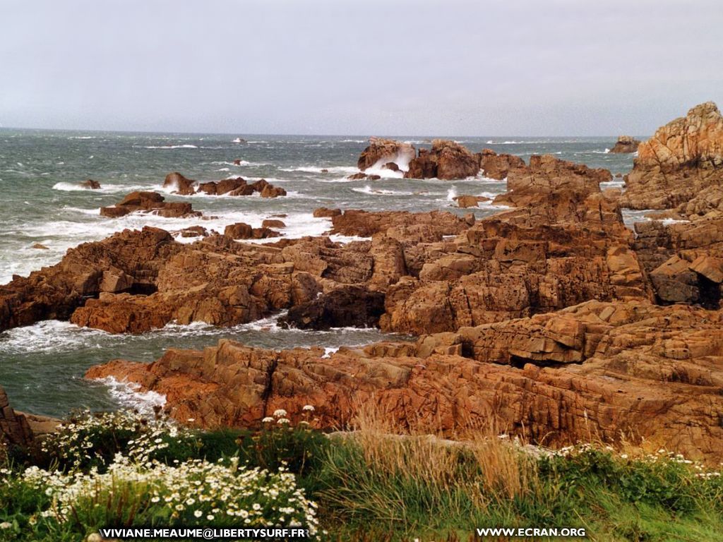 fonds d cran bretagne-plougrescant - de Viviane Meaume