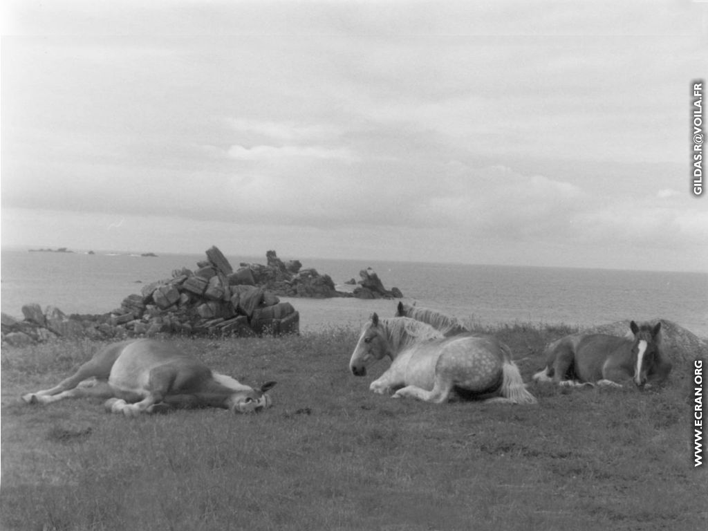 fonds d cran Bretagne - Gildas R - photographe noir et blanc - Trgor - Douarnenez - Paimpol ... en fond ecran - de Gildas R