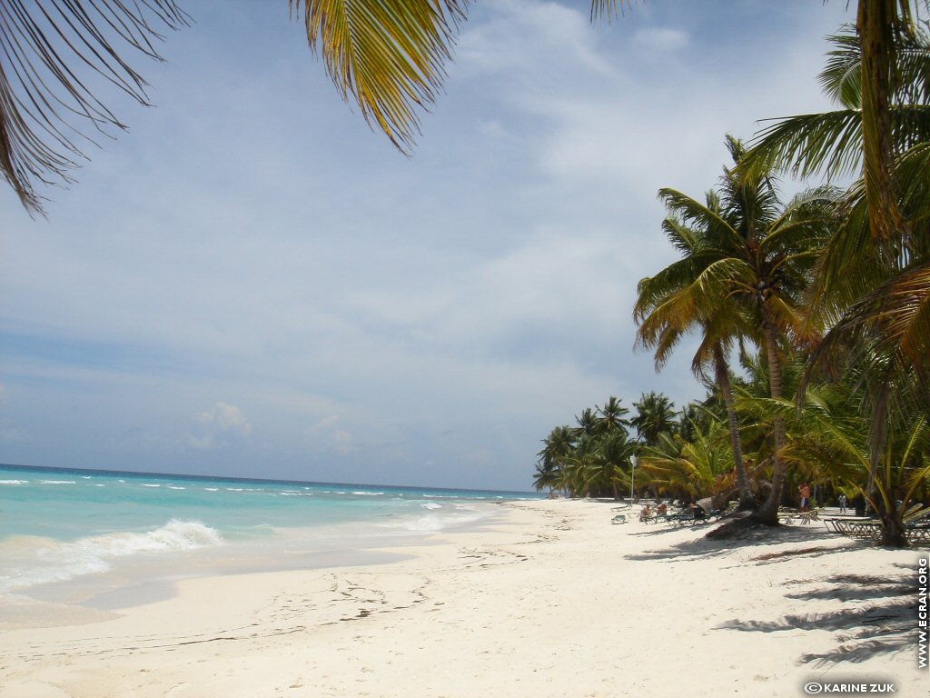 fonds d cran Caraibes Republique Dominicaine ile de Saona - de Karine Zuk