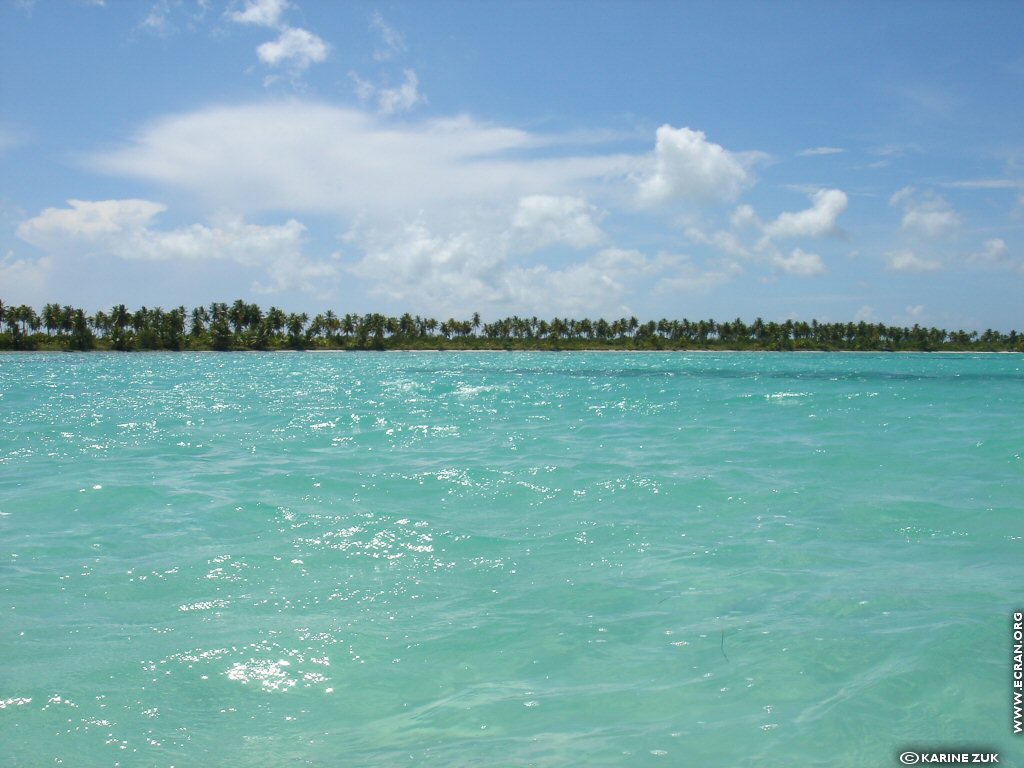 fonds d cran Caraibes Republique Dominicaine ile de Saona - de Karine Zuk