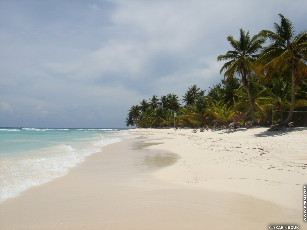 fonds d cran Caraibes Republique Dominicaine ile de Saona - de Karine Zuk