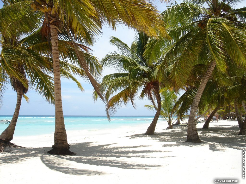 fonds d cran Caraibes Republique Dominicaine ile de Saona - de Karine Zuk