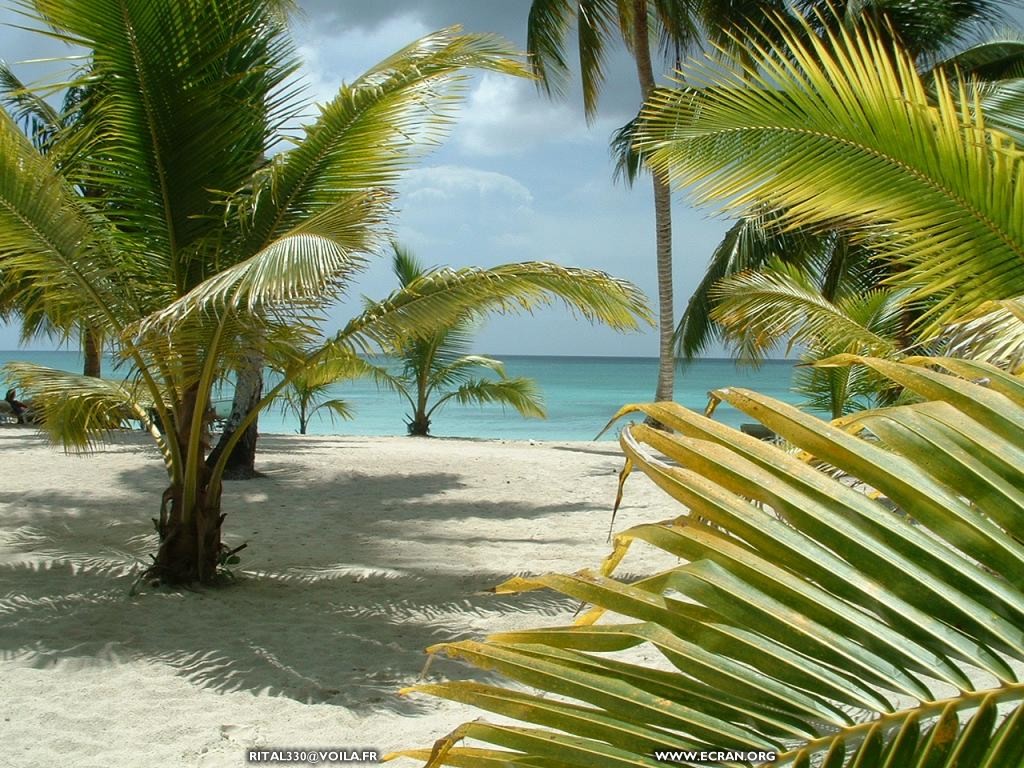 fonds d cran caraibes-republique-dominicaine-ile-de-saona - de Sylvie Mornon