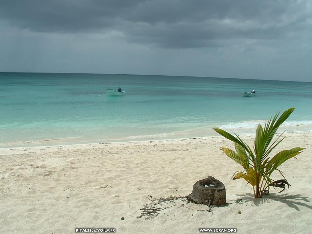 fonds d cran caraibes-republique-dominicaine-ile-de-saona - de Sylvie Mornon