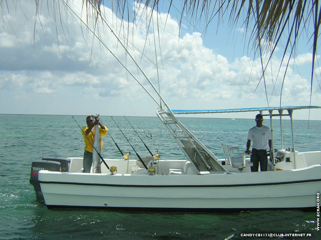 fonds d cran Caraibes-Republique Dominicaine - Photos d'Aline Nougaret - de Aline Nougaret