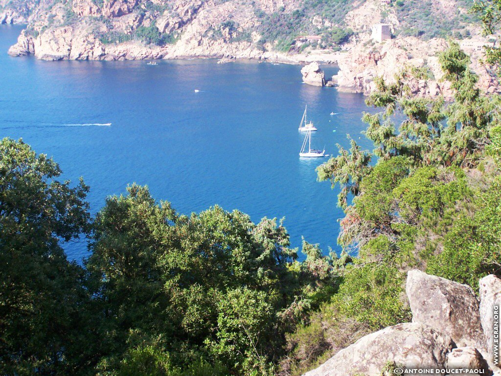 fonds d cran Corse Ajaccio Porto Pastricciola Santa Maria - de Antoine Doucet-Paoli