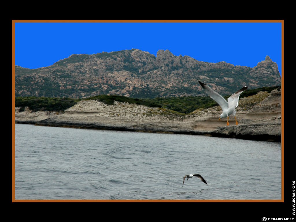 fonds d cran Corse - Corsica - ile de beaut - de Gerard Mery