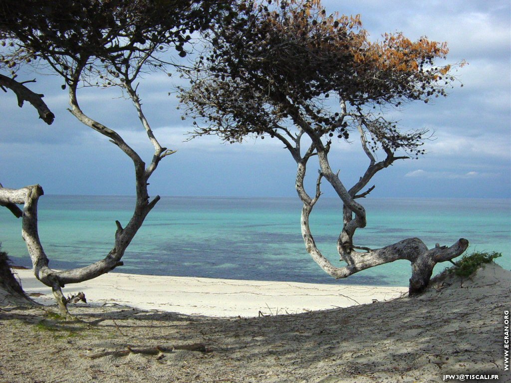 fonds d cran Corse - Corsica - ile de beaut - Kallist - Photos de Marie-Catherine Wetterwald - de Marie-Catherine Wetterwald