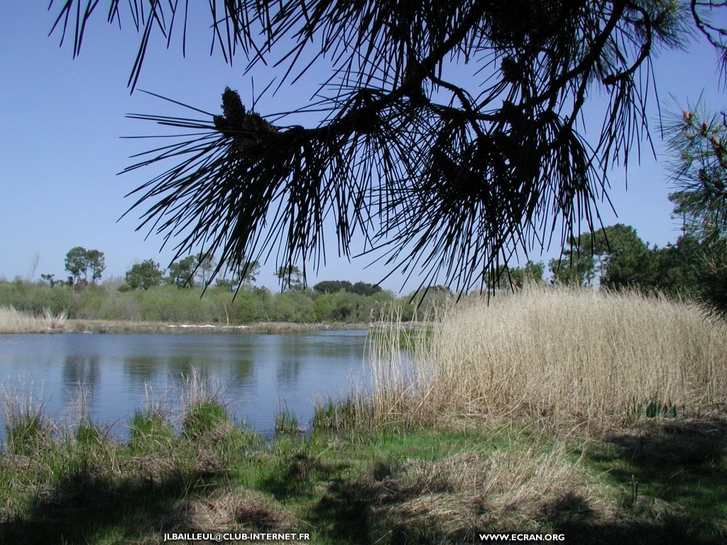 fonds d cran Bretagne - de Concarneau  Bnodet en passant par Cap Coz,  Beg Meil , et Mousterlin par Jean-Luc Bailleul - Fonds d'ecran Bretagne Finistre sud - 100% breton - de Jean-Luc Bailleul