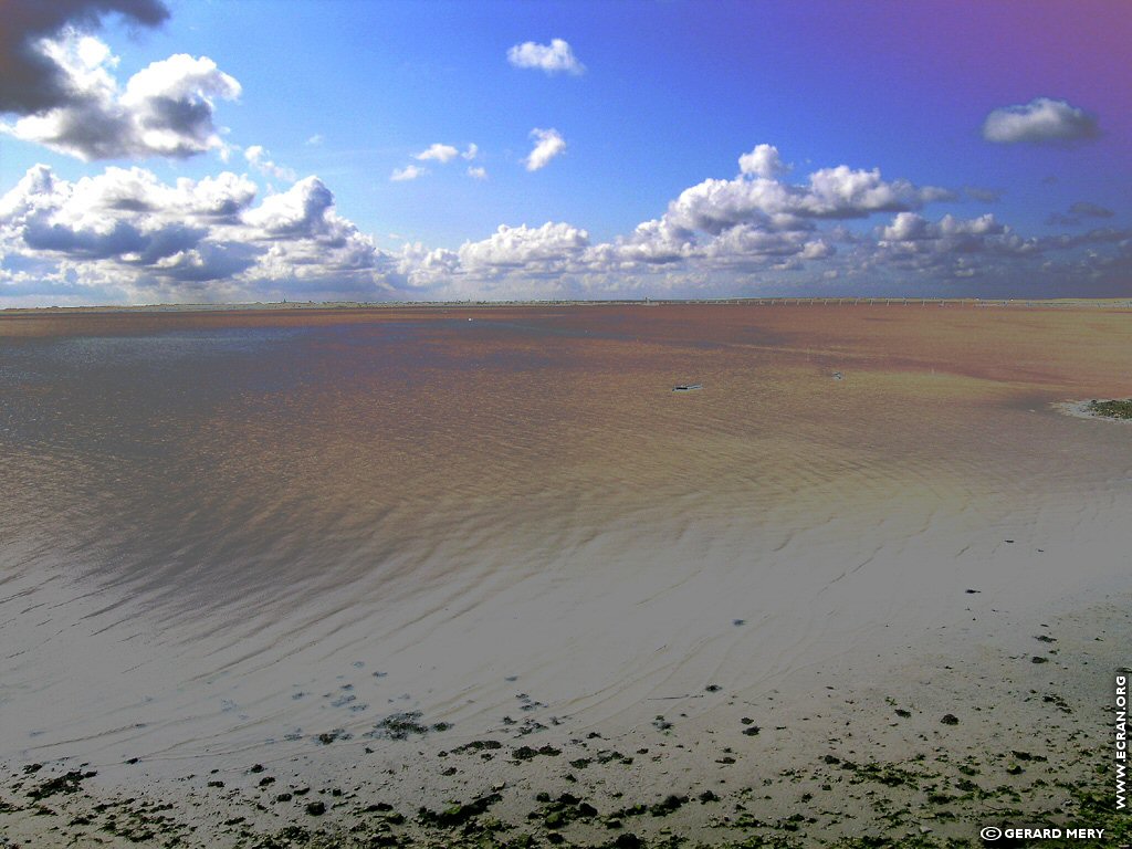 fonds d cran Poitou Charente-Maritime Ile d'Olron - de Gerard Mery