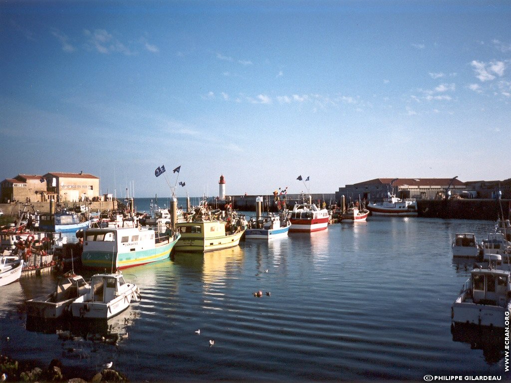 fonds d cran France Poitou Charente - Charente Maritime - ile d'Oleron - de Philippe Gilardeau