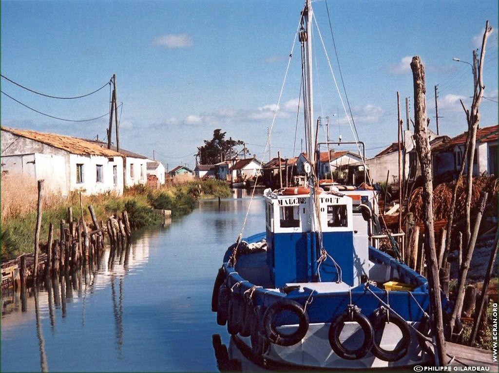 fonds d cran France Poitou Charente - Charente Maritime - ile d'Oleron - de Philippe Gilardeau