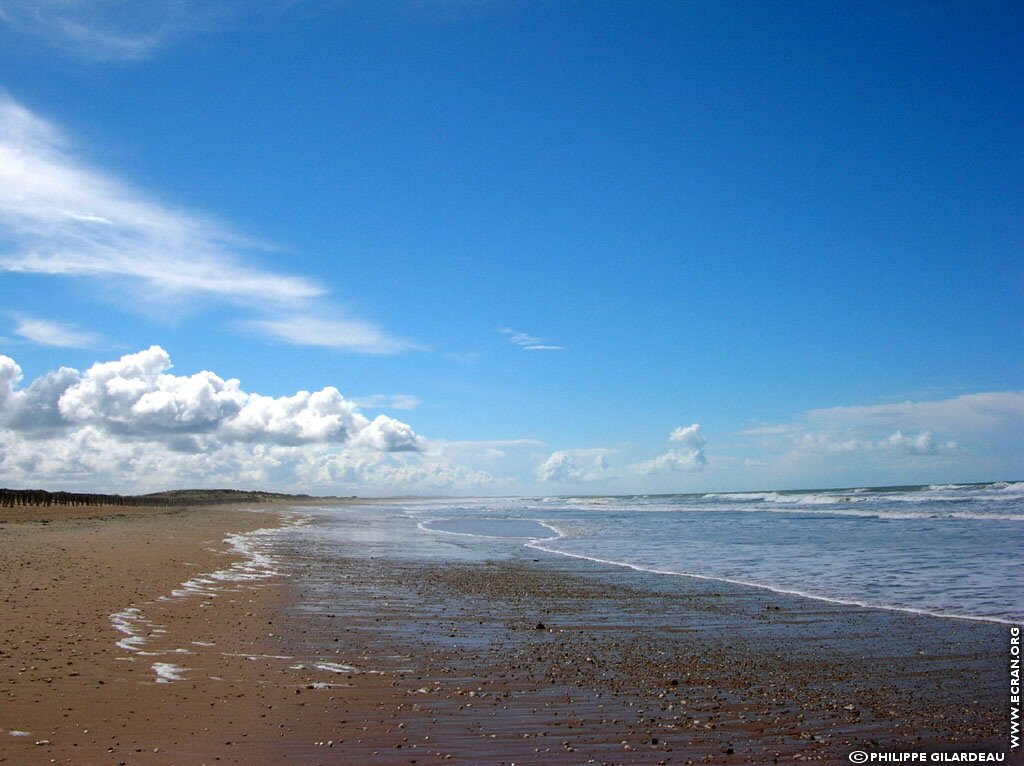 fonds d cran France Poitou Charente - Charente Maritime - ile d'Oleron - de Philippe Gilardeau