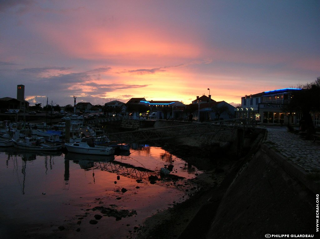 fonds d cran France Poitou Charente - Charente Maritime - ile d'Oleron - de Philippe Gilardeau