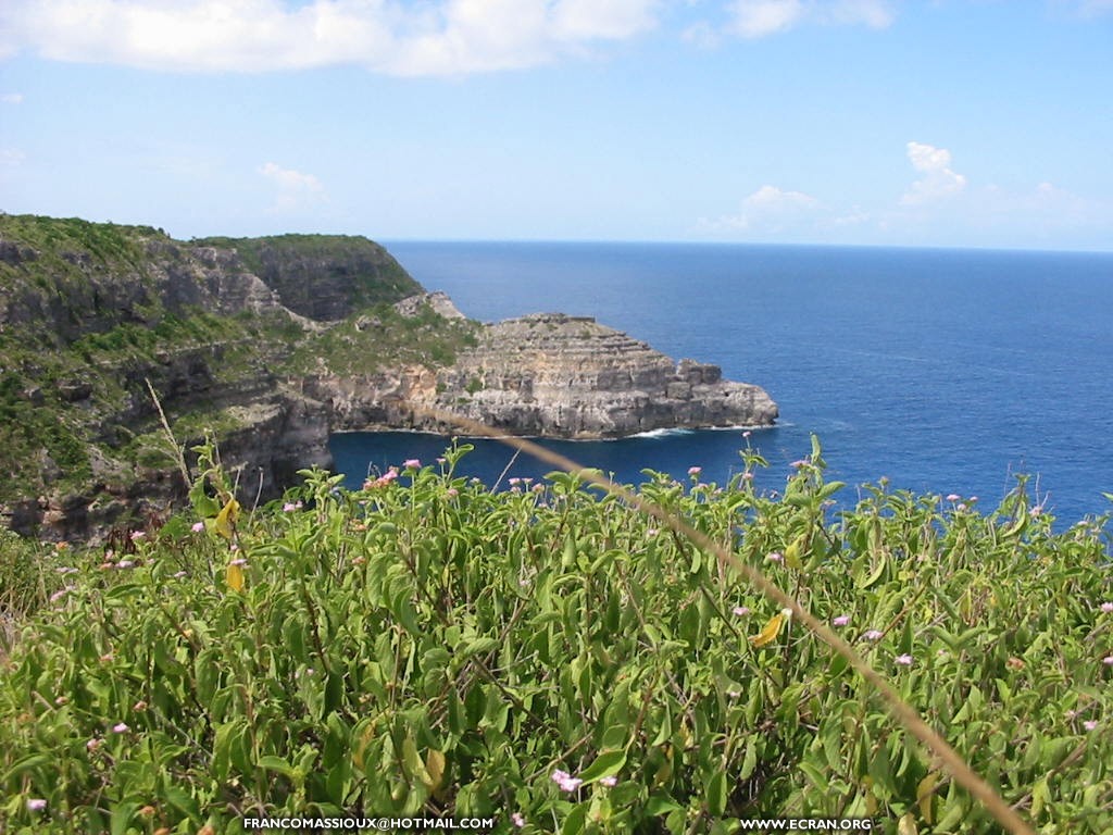 fonds d cran La Guadeloupe - Anse Laborte - Ansoise - Basse Terre - par Franco Massioux - de Franco Massioux