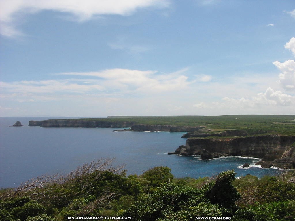 fonds d cran La Guadeloupe - Anse Laborte - Ansoise - Basse Terre - par Franco Massioux - de Franco Massioux