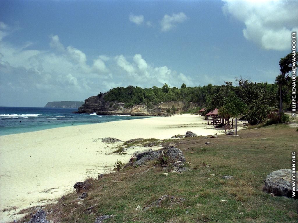 fonds d cran Guadeloupe - de Philippe Renaud