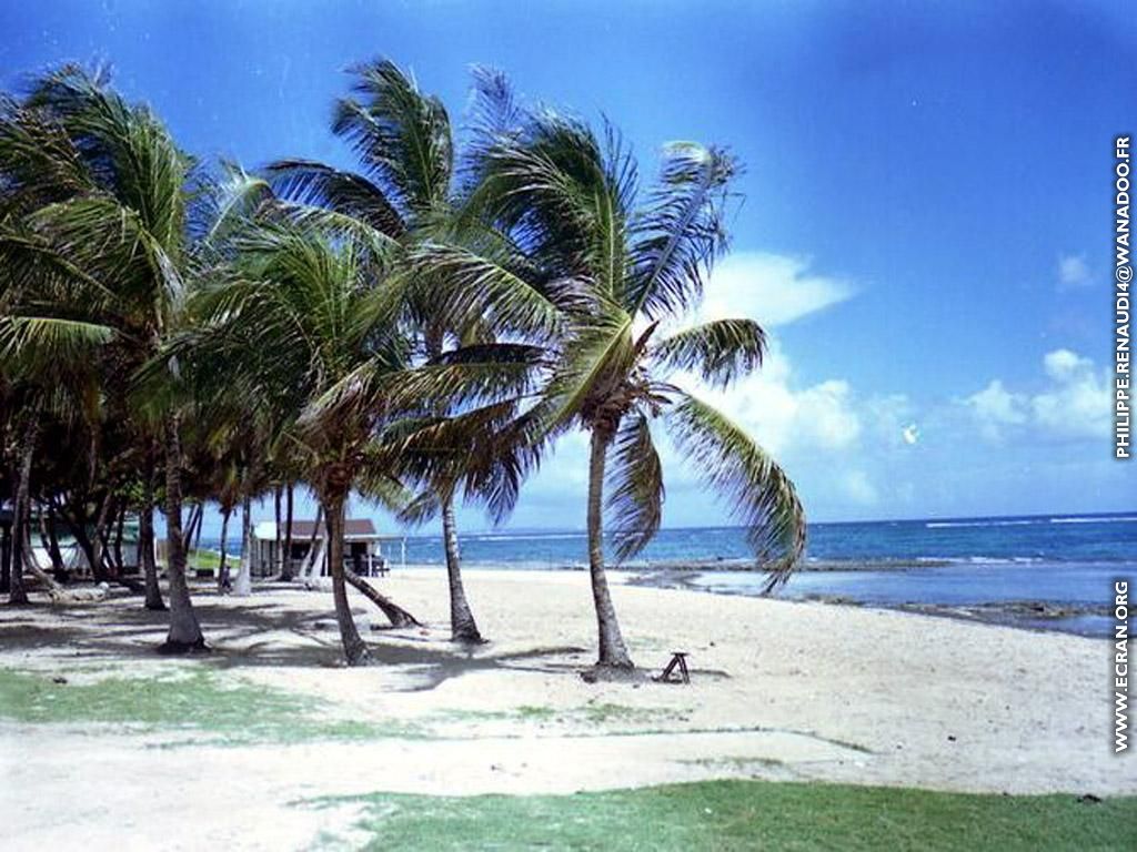 fond d'ecran gratuit guadeloupe