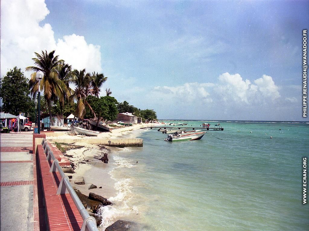 fonds d cran Guadeloupe - de Philippe Renaud