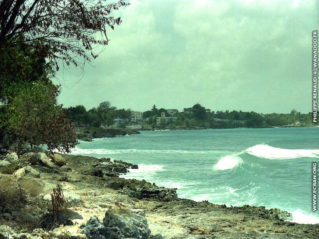 fonds d cran Guadeloupe - de Philippe Renaud