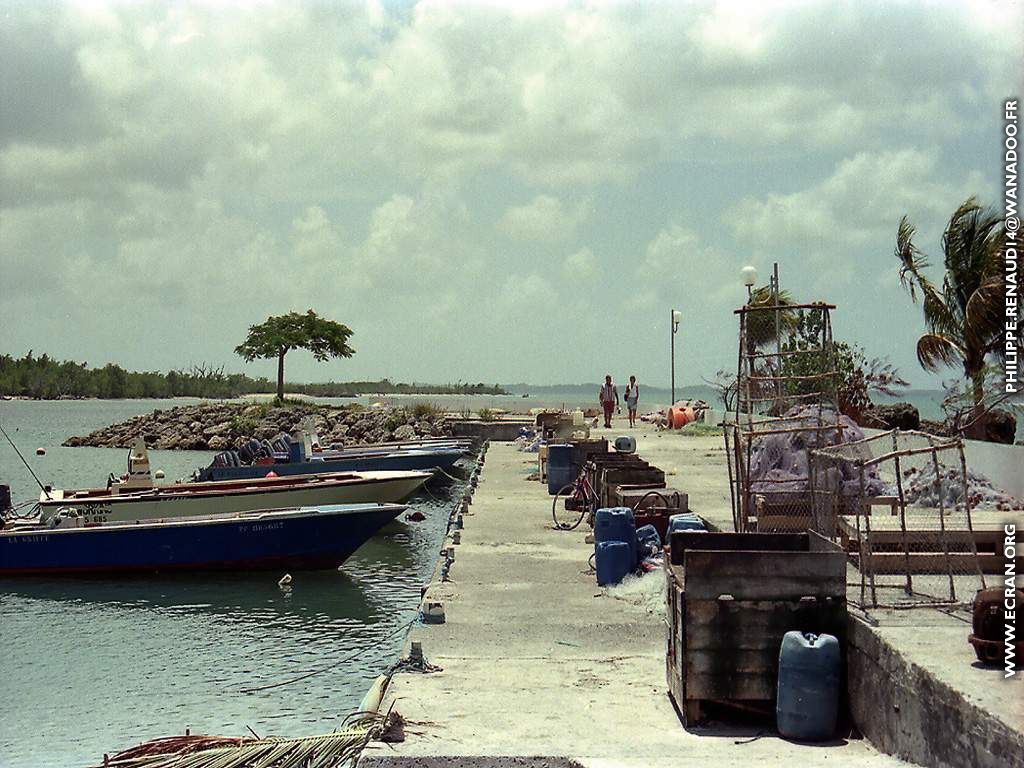 fonds d cran Guadeloupe - de Philippe Renaud