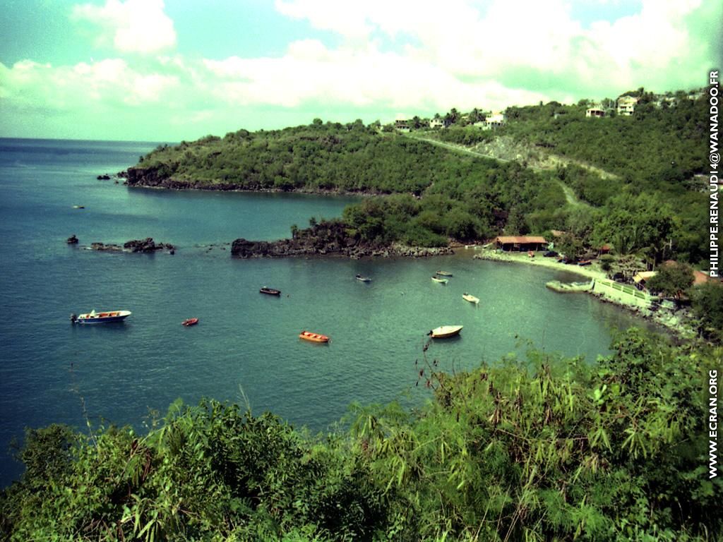 fonds d cran Guadeloupe - de Philippe Renaud