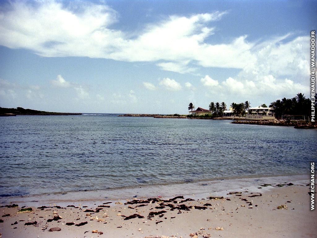 fonds d cran Guadeloupe - de Philippe Renaud