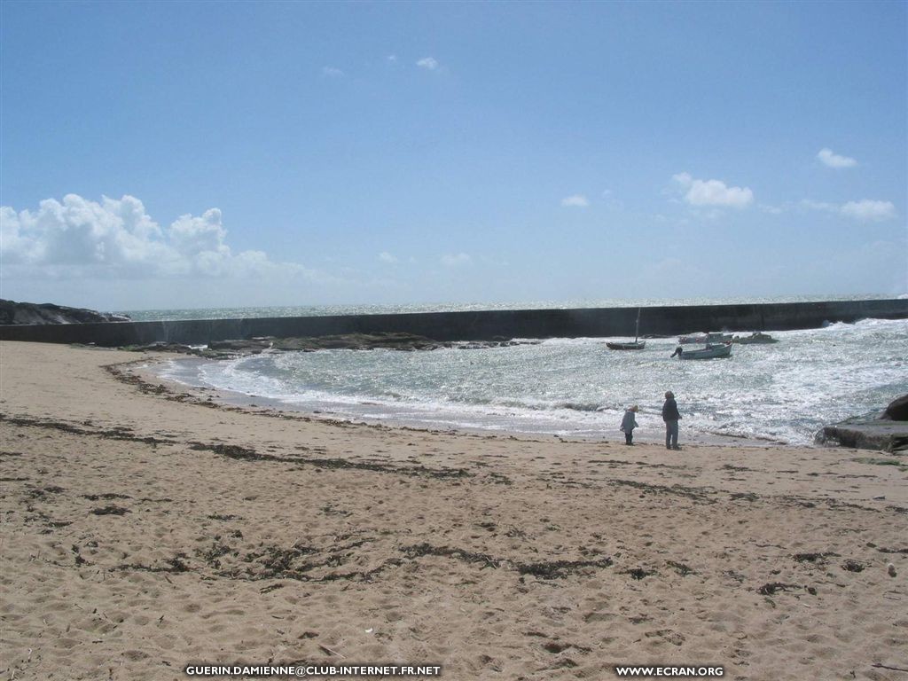 fonds d cran Loire Atlantique - La cte Sauvage sur la presqu'ile de Gurande, La baule ... par Damienne Guerin - fonds d'ecran - de Damienne Guerin