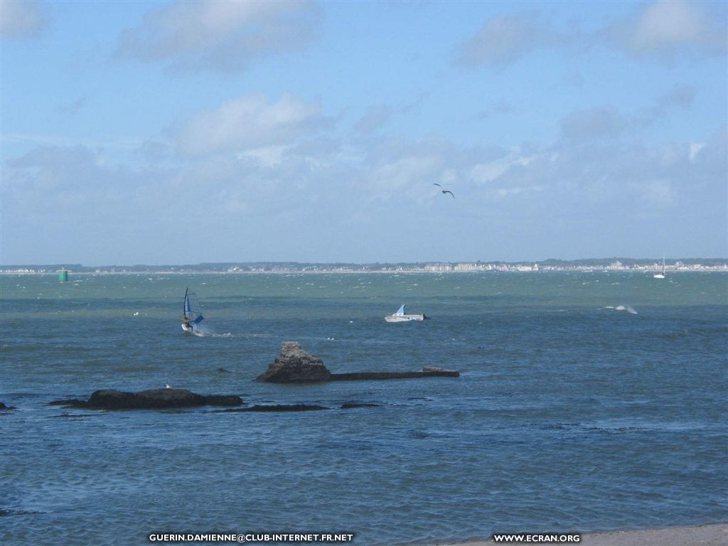 fonds d cran Loire Atlantique - La cte Sauvage sur la presqu'ile de Gurande, La baule ... par Damienne Guerin - fonds d'ecran - de Damienne Guerin