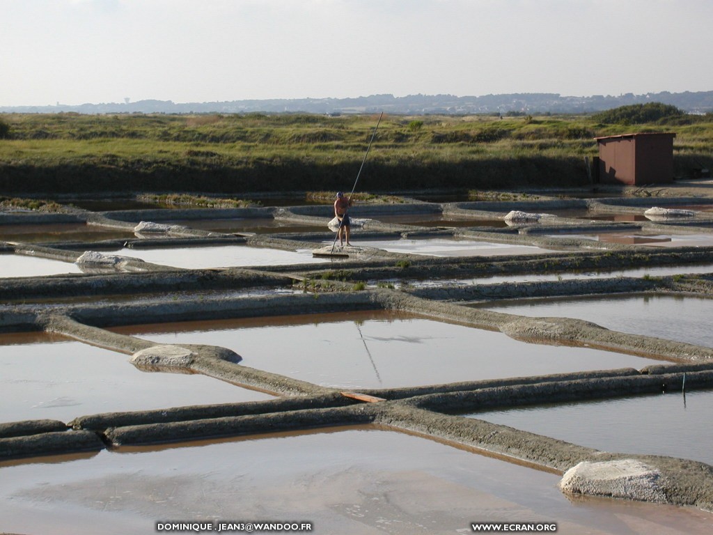 fonds d cran Loire Atlantique - Le Croisic en fonds d'cran par Dominique Jean - fond d'ecran bretons - de Dominique Jean