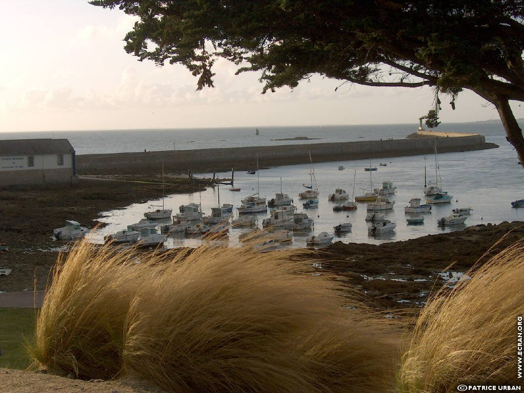 fonds d cran Loire Atlantique Le Croisic - de Patrice Urban