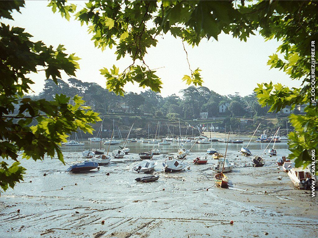 fonds d cran Pays de Loire - Pornic - de Jean-Claude Cocquerez