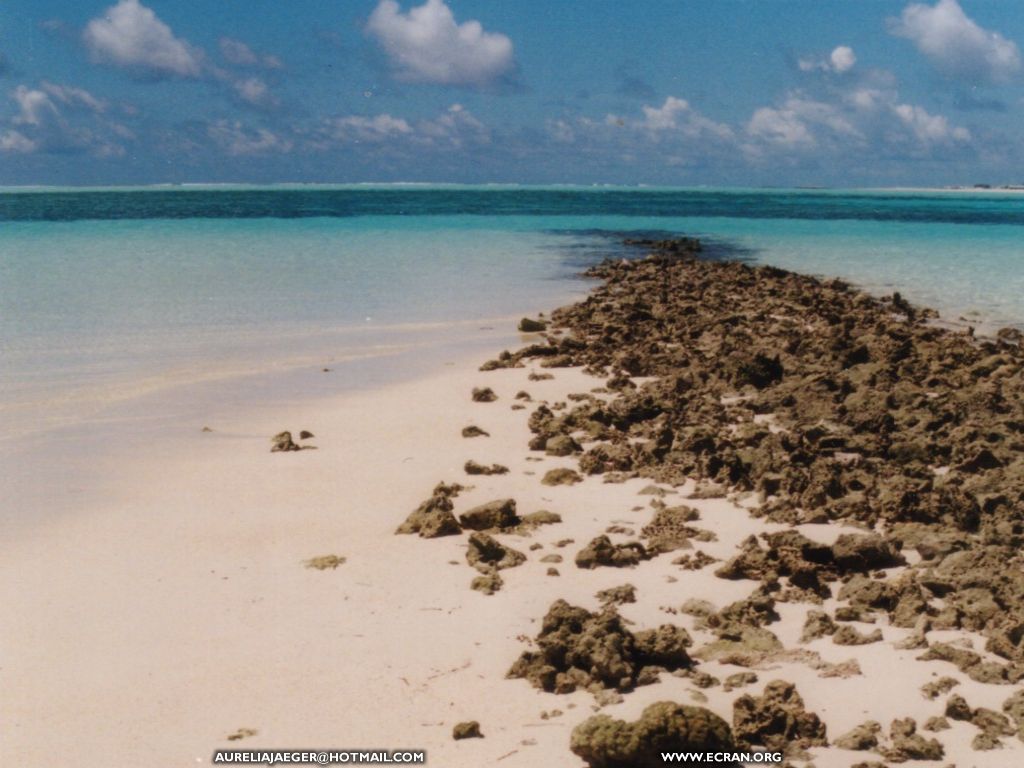 fonds d cran Asie du Sud-Ouest - Au dtour des plages des Maldives et des Antilles - de Aurelia Jaeger